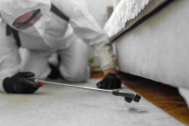 Professional Mosquito Control technician working in Elm Springs, AR