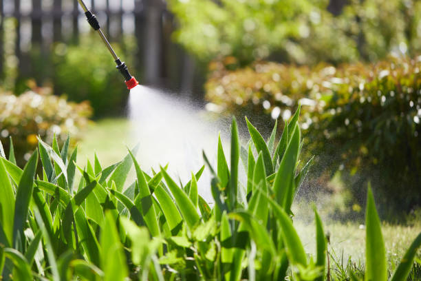 24/7 Emergency Mosquito Control experts in Elm Springs, AR